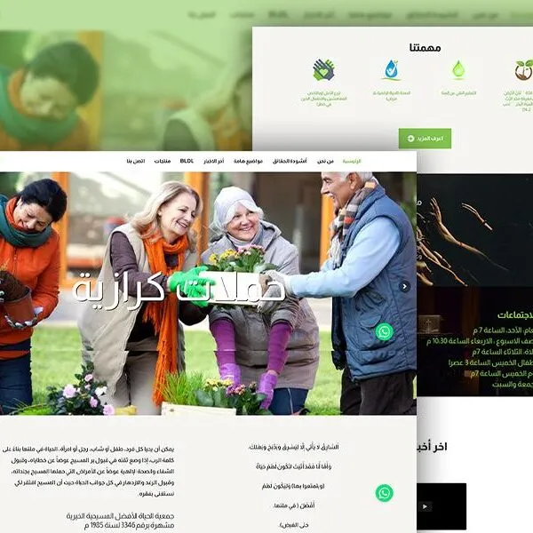 imgi_53_BLFA-600x600