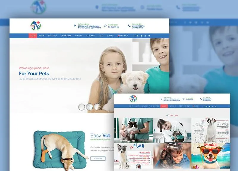 imgi_81_EasyVet-800x576-1